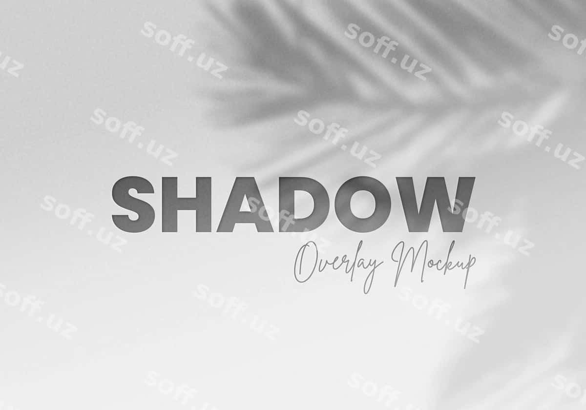 Palma barglari soyasi maketi | Palm leaves shadow overlay mockup 1