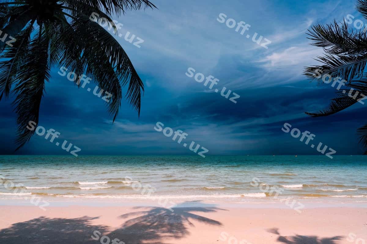 Palm Sky tropik plyaji | Palm sky tropical beach 1