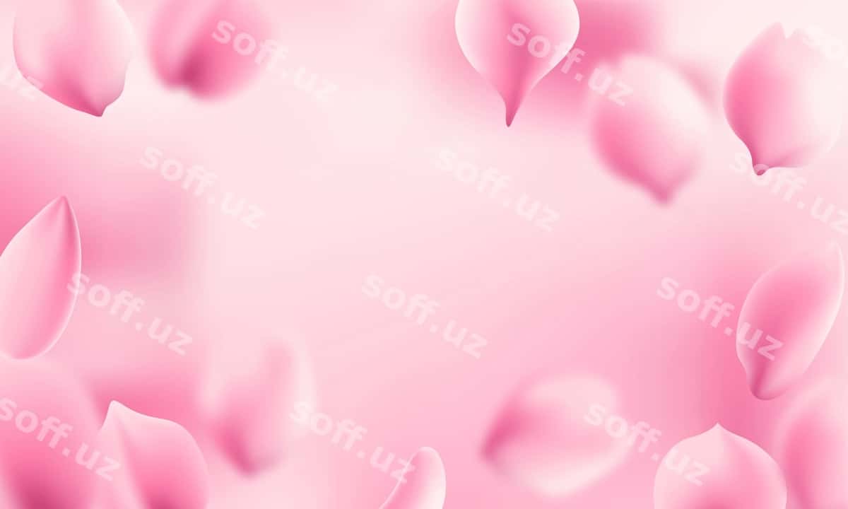 Binafsha gul qısratları spa orqa fonda | Petals pink rose spa background 1