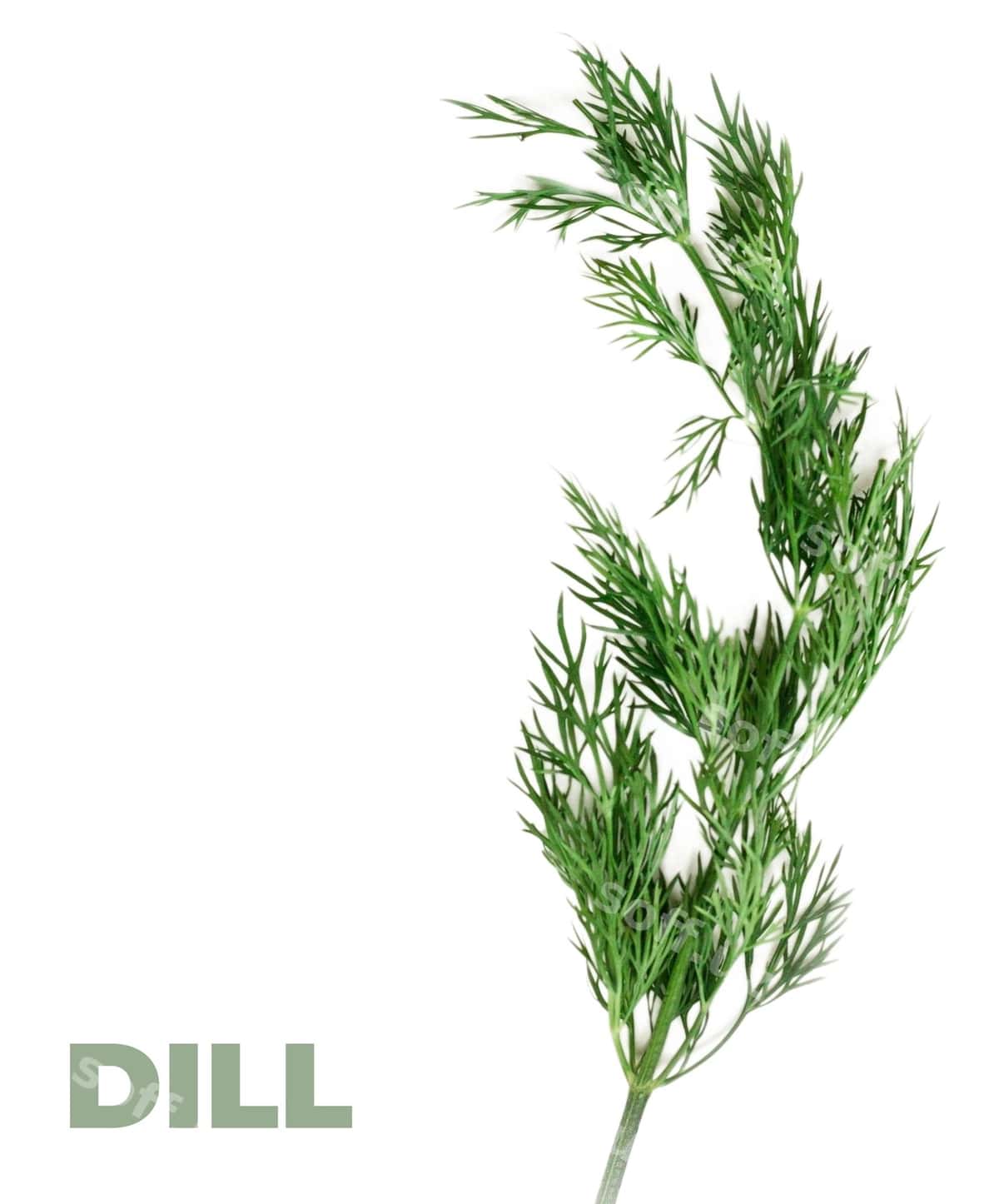 Rasm zavodi buldozer so'zi bilan | Picture plant with word bulldo it 1