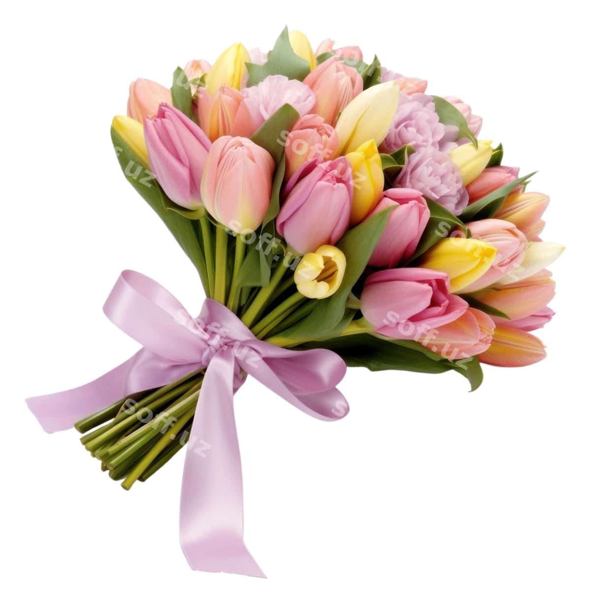 PNG gul lola o'simlik atirgul | Png flower tulip plant rose 1