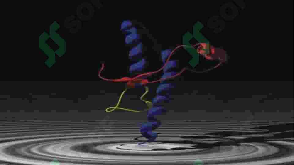 prion 4