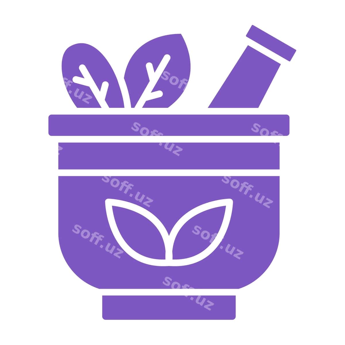 Binafshe guli binafshe qapali uni eking | Purple pot with purple lid plant it 1