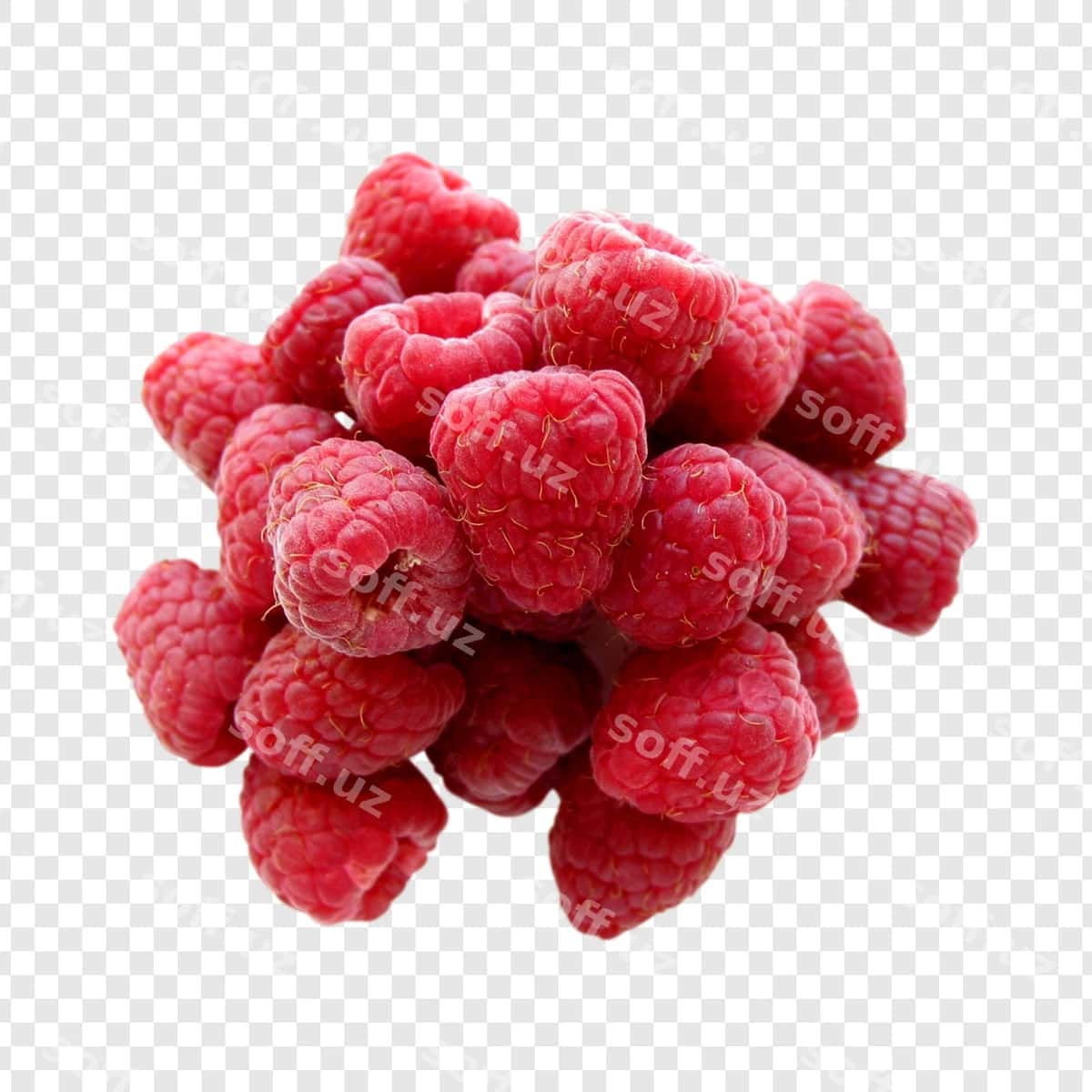 O'tgan murdumlar | Ripe raspberries 1