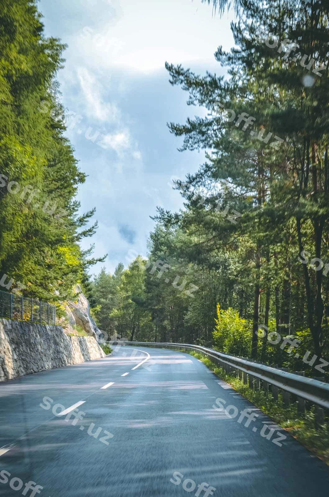 Yo'lni o'rmon ichidagi daraxtlar o'rtasida osmon qarshisida | Road amidst trees forest against sky 1