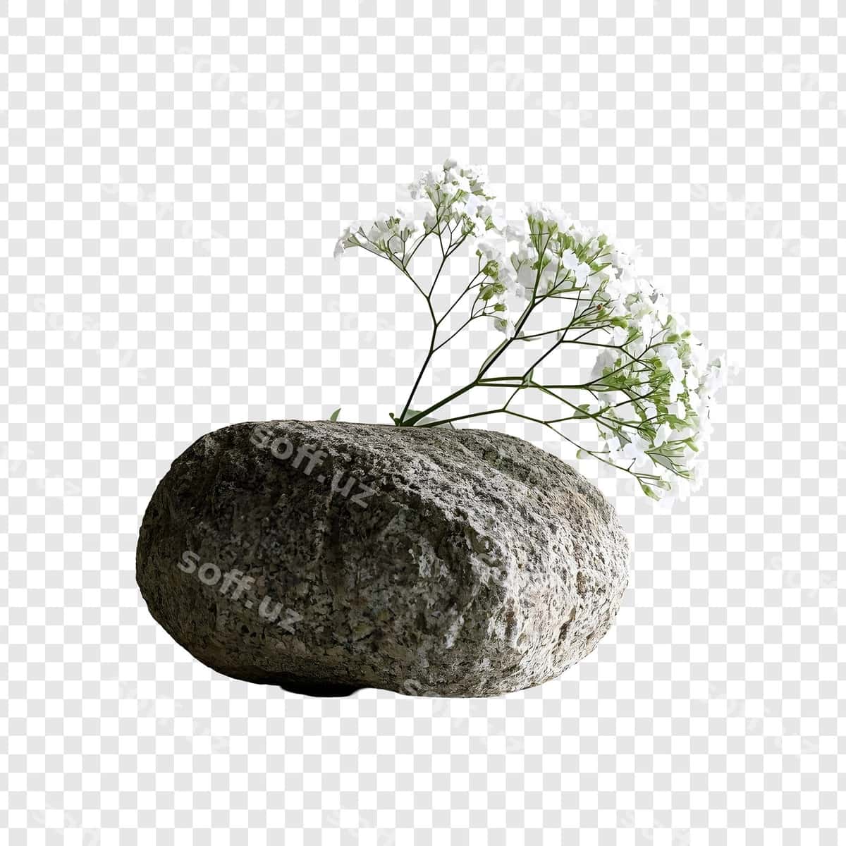 Oq gullar bilan tosh vaza | Rock vase with white flowers 1