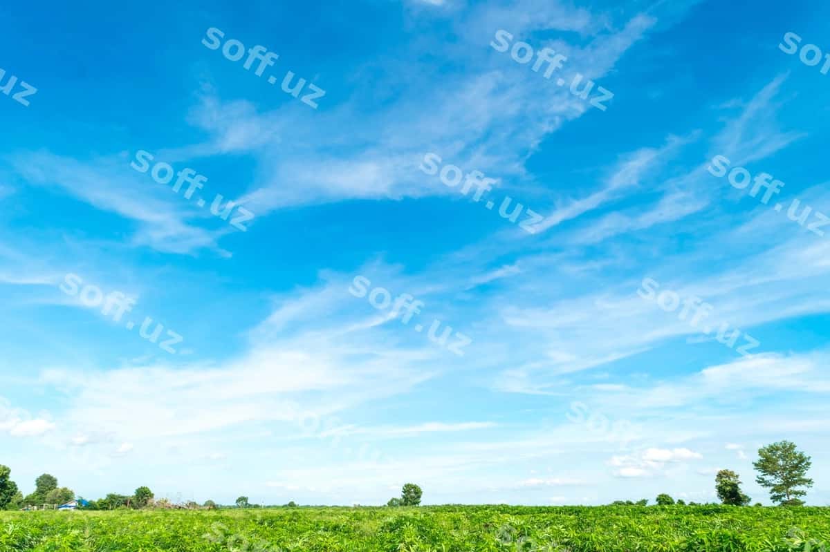 Osmonga qaragan manzarali maydon | Scenic view field against sky 1