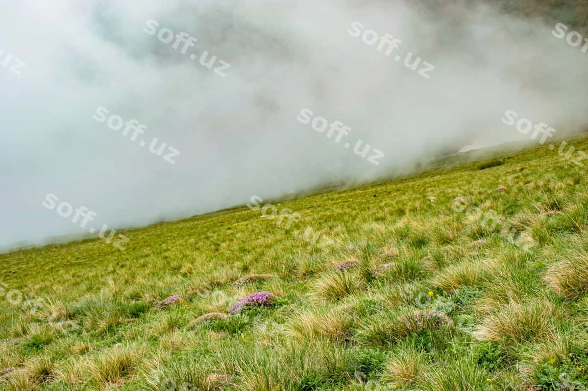 Manzarasi maydon osmon orqali | Scenic view field against sky 1