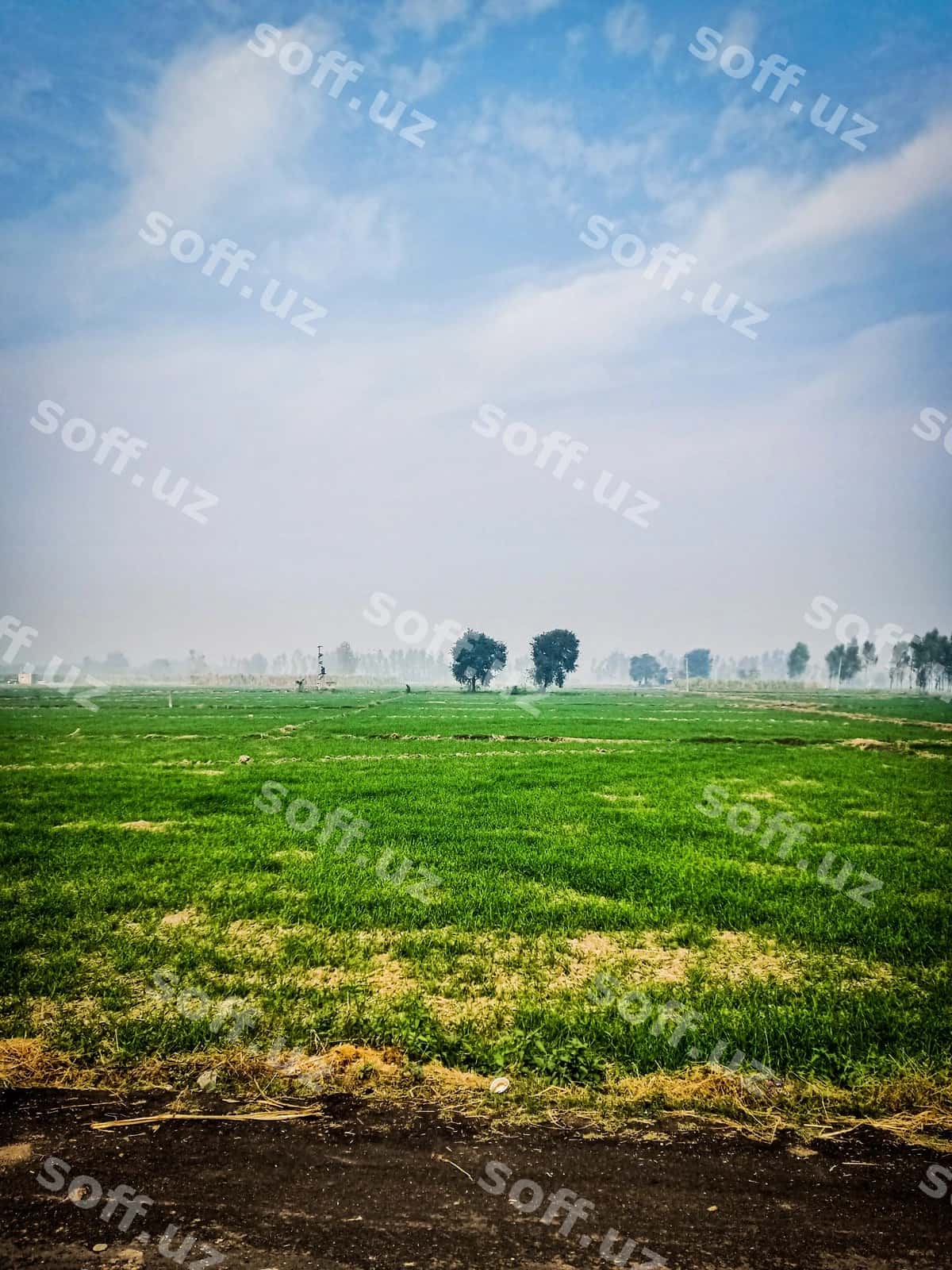 Manzarali maydon osoyonga qarshi | Scenic view field against sky 1