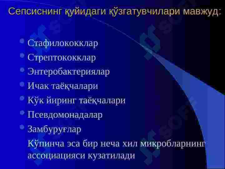 СЕПСИС 8