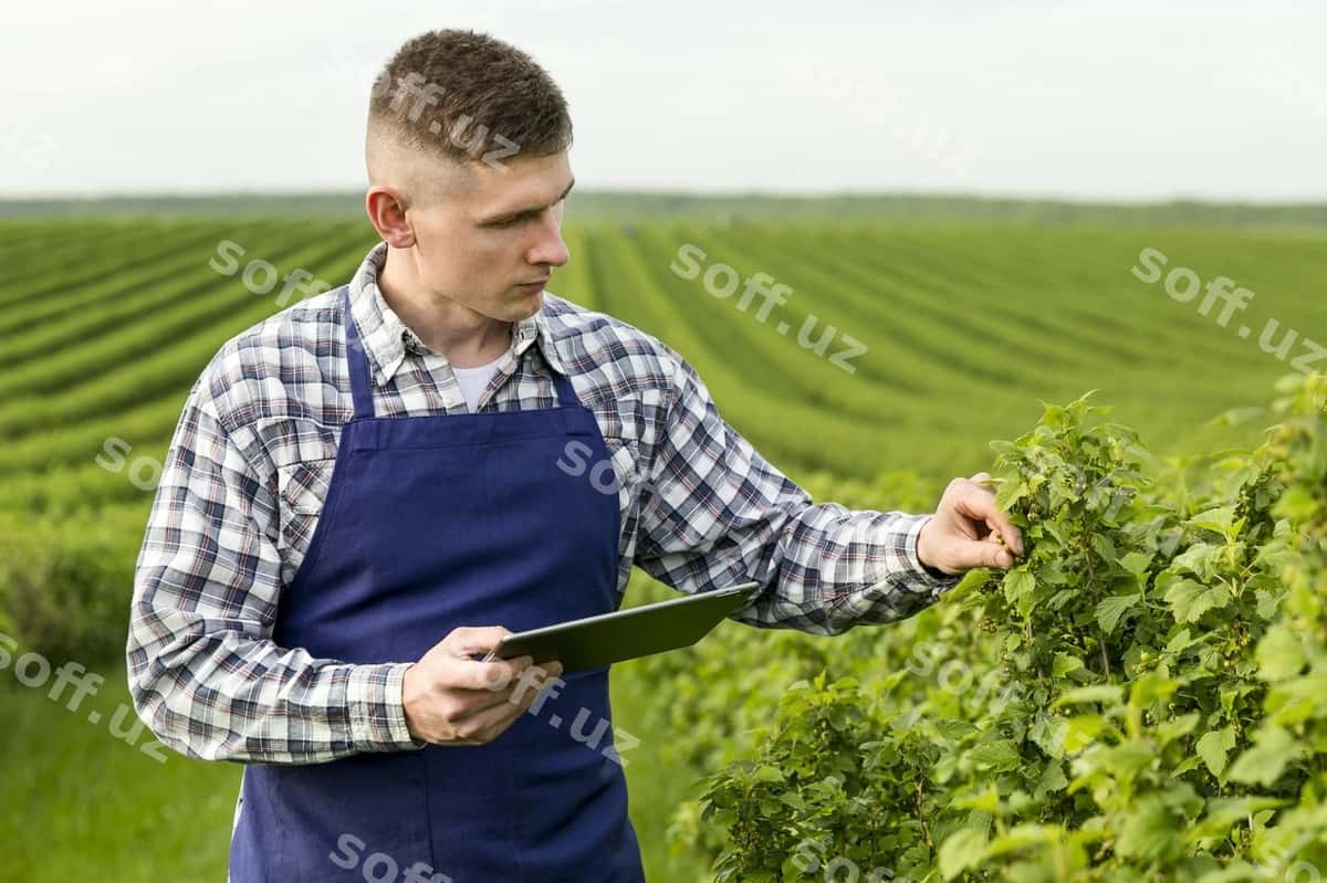 Erkak ferma plansheti bilan tomon ko'rinish | Side view man farm with tablet 1