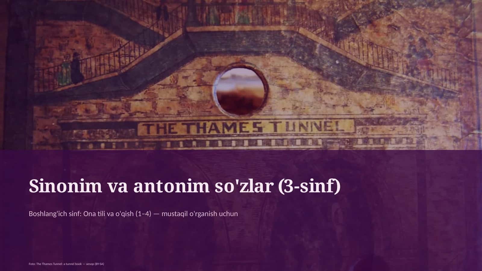 Sinonim va antonim so'zlar (3-sinf) 1