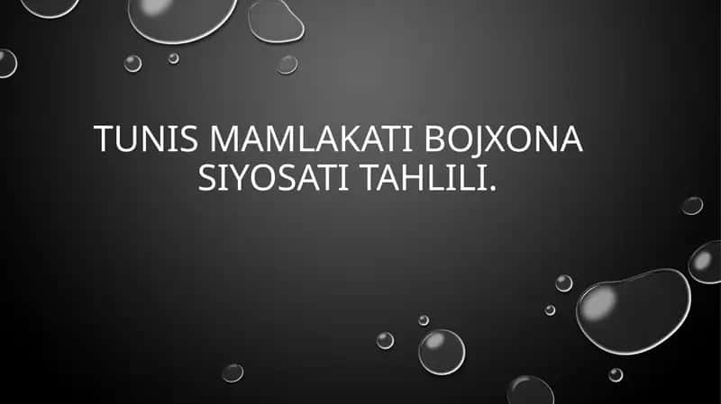 Tunis Mamlakati Bojxonasiyosi Tahlili 1