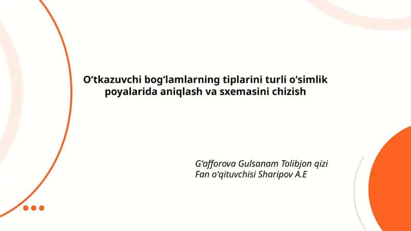 Monokotil oʻsimlik poyasi 1