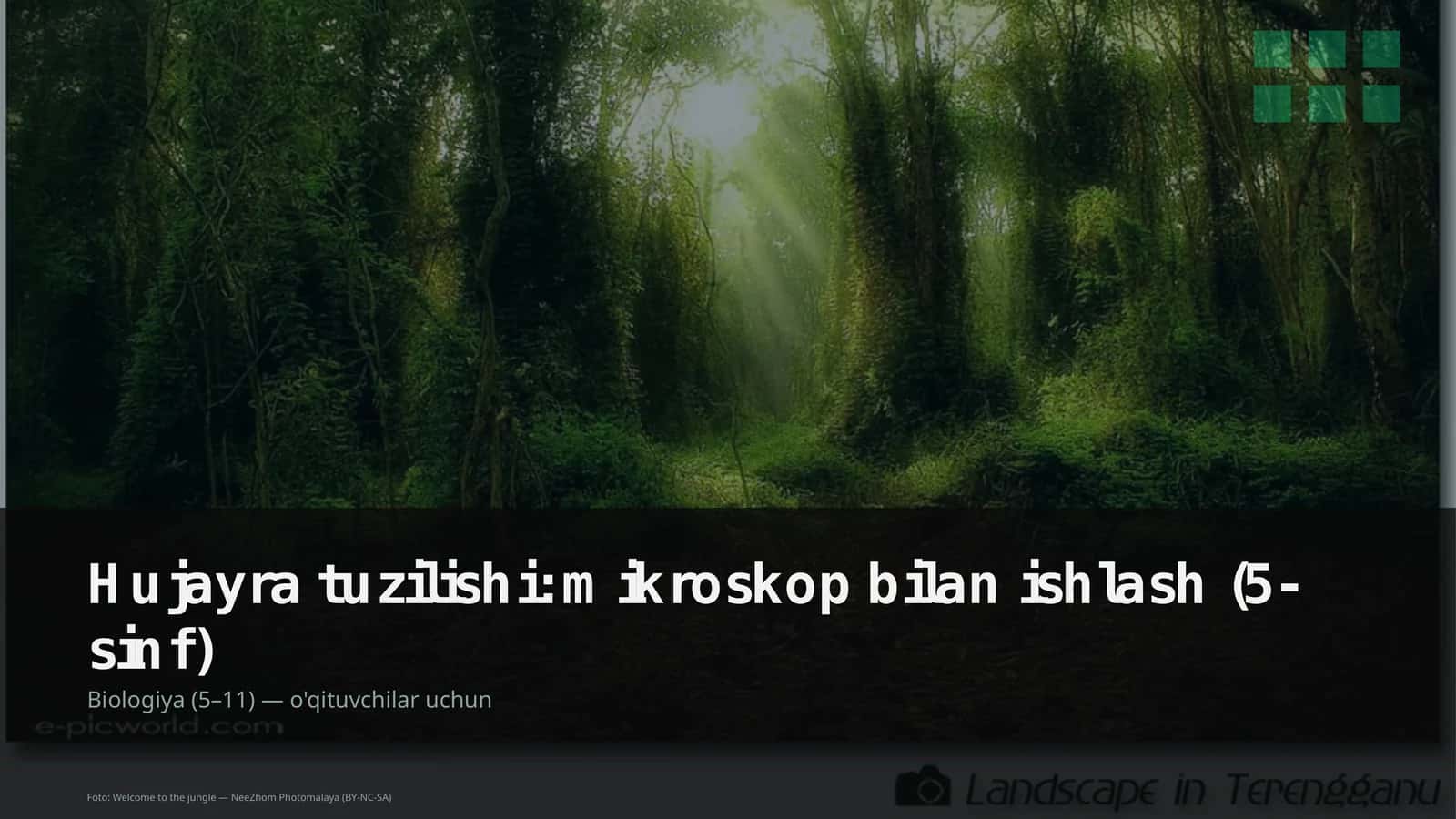 Hujayra tuzilishi: mikroskop bilan ishlash (5-sinf) 1
