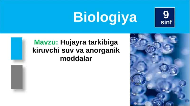 Hujayrat arkibi 1