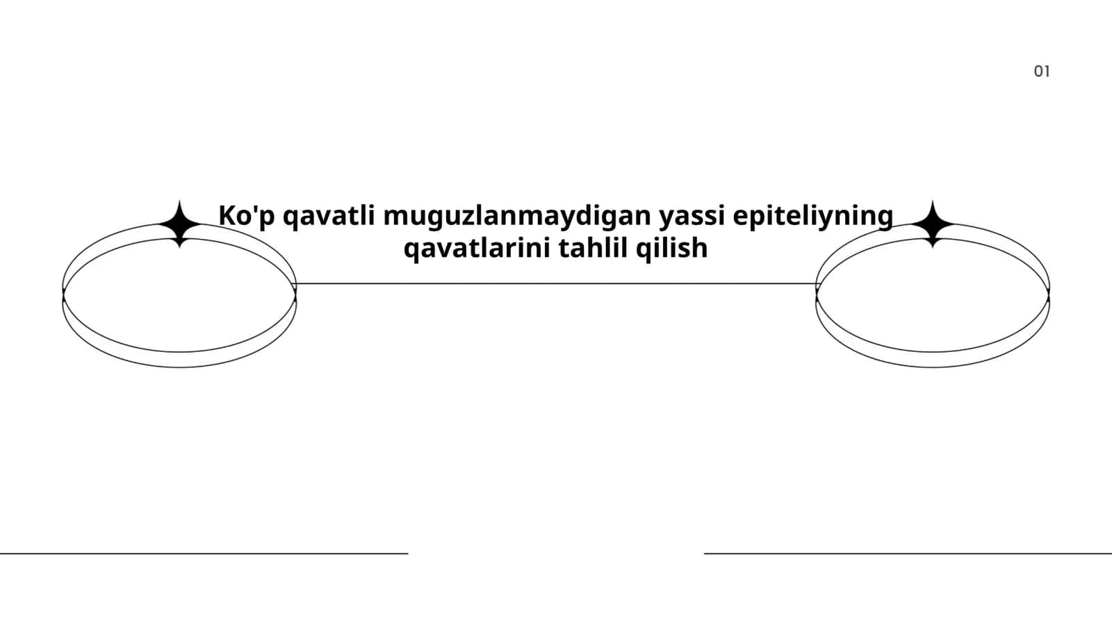 Ko'p qavatli muguzlanmaydigan yassi epiteliyning qavatlarini tahlil qilish 1