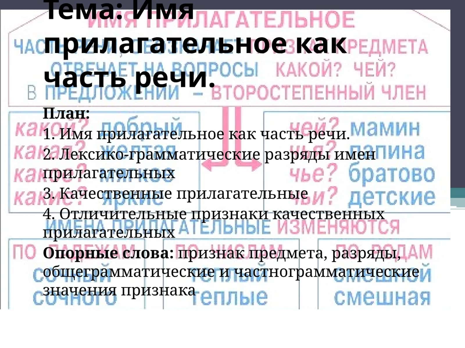 Имя прилагательное как часть речи 1