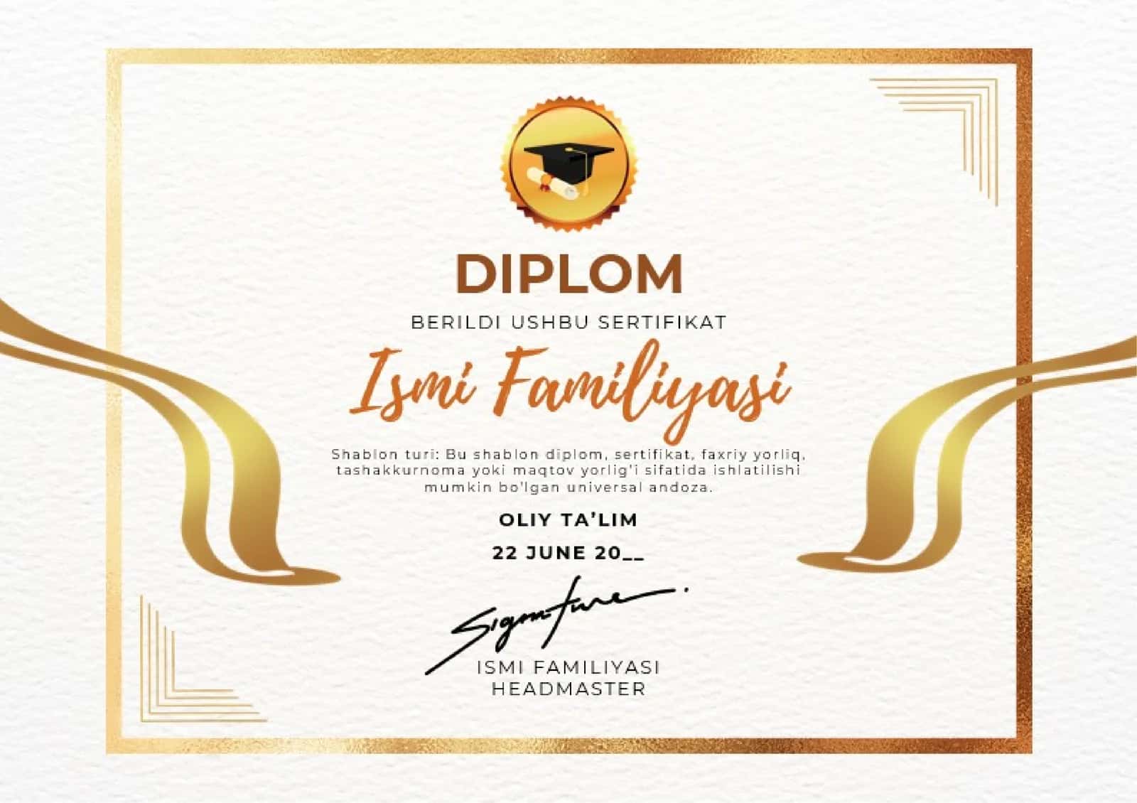 DIPLOM 1