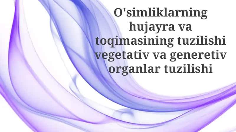 O'simlik hujayrasi tuzilishi 1