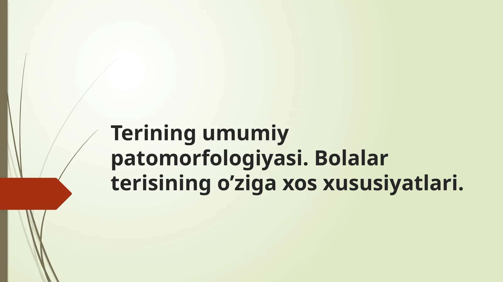 Terining umumiy patomorfologiyasi. Bolalar terisining o‘ziga xos xususiyatlari 1