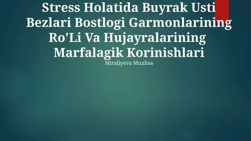 Stress Holatida Buyrak Usti Bezlari Bostlogi Garmonlarining Ro'Li Va Hujayralarining Marfalagik Korinishlari 1