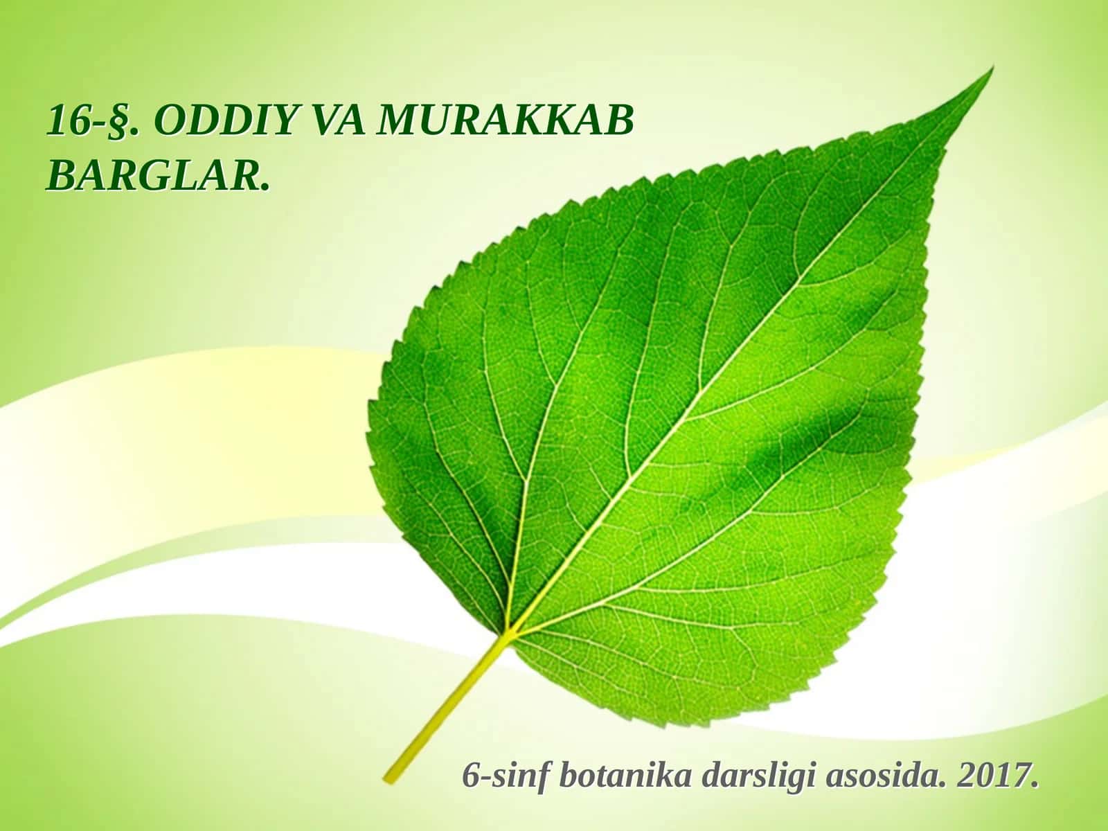 6-sinf Botanika Oddiy va murakkab barglar 1
