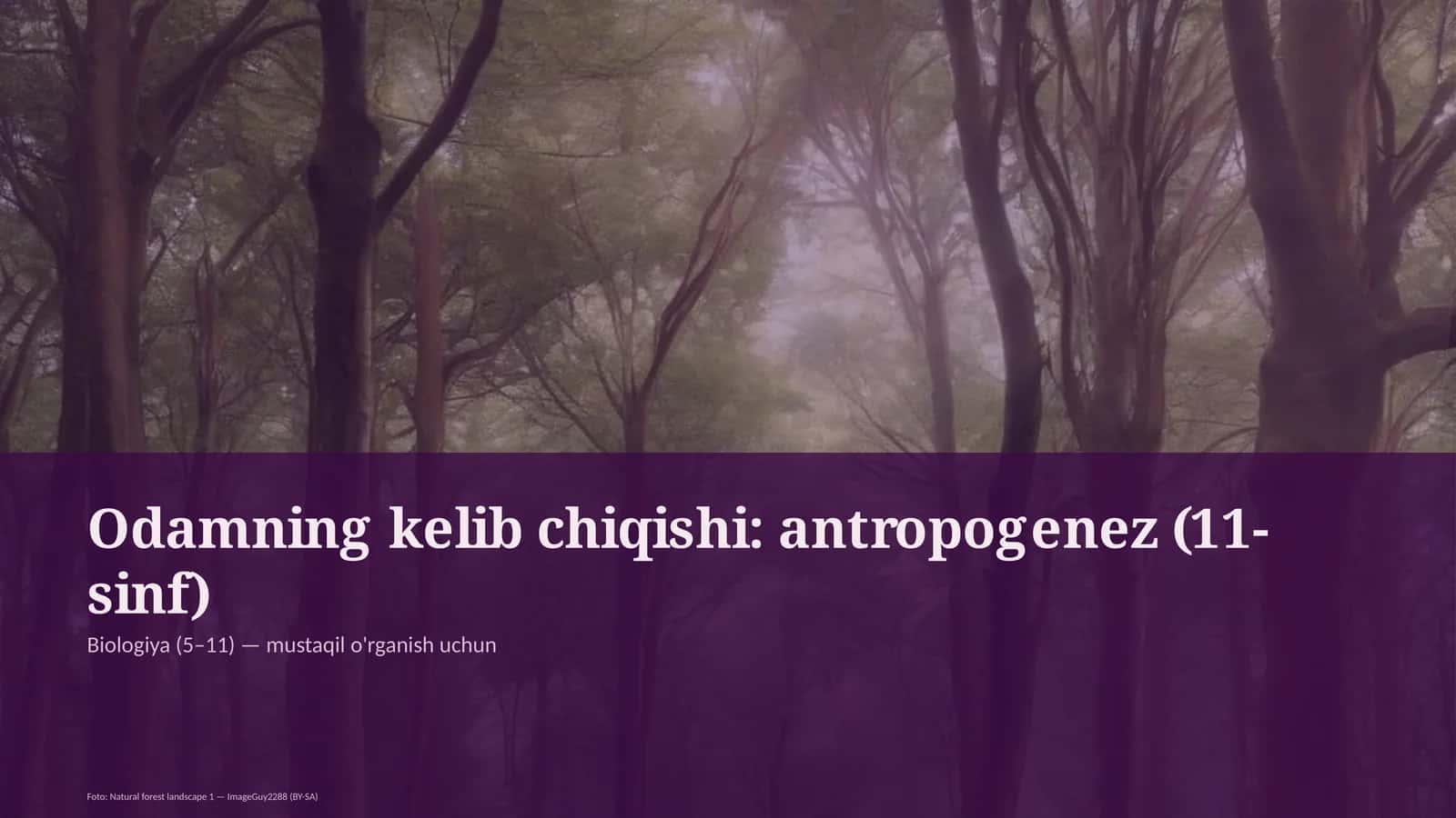 Odamning kelib chiqishi: antropogenez (11-sinf) 1