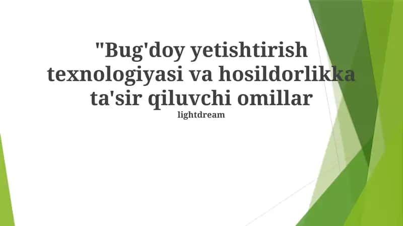 Bug'doy yetishtirish texnologiyasi va hosildorlikka ta'sir qiluvchi omillar 1