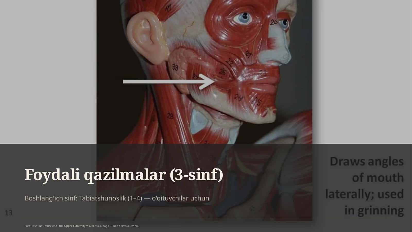 Foydali qazilmalar (3-sinf) 1