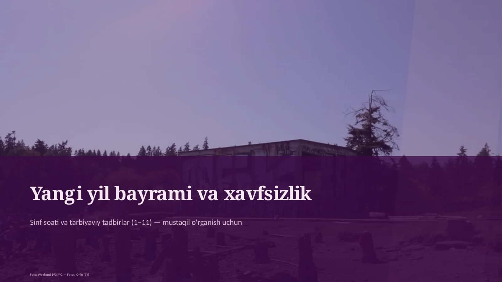 Yangi yil bayrami va xavfsizlik 1