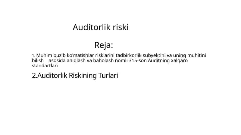 Auditorlik riski 1