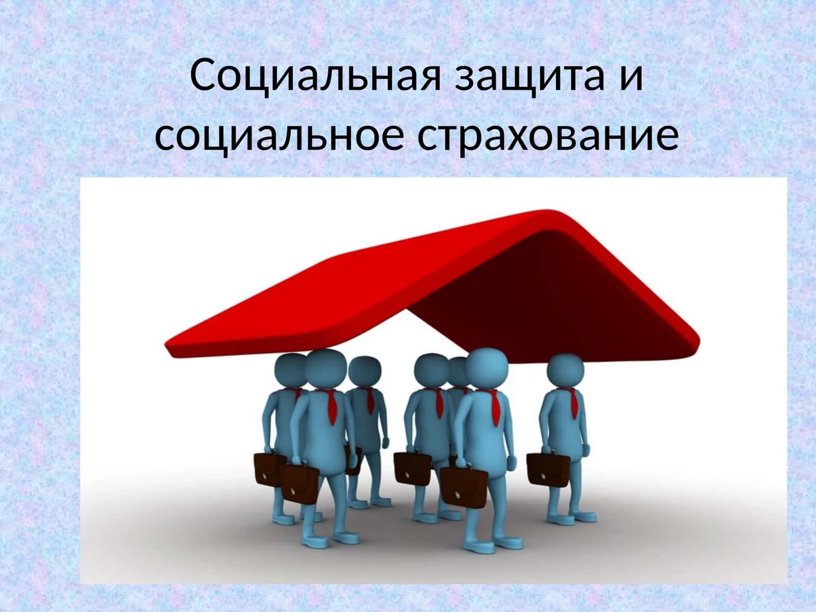 Принципы социальной защиты 1