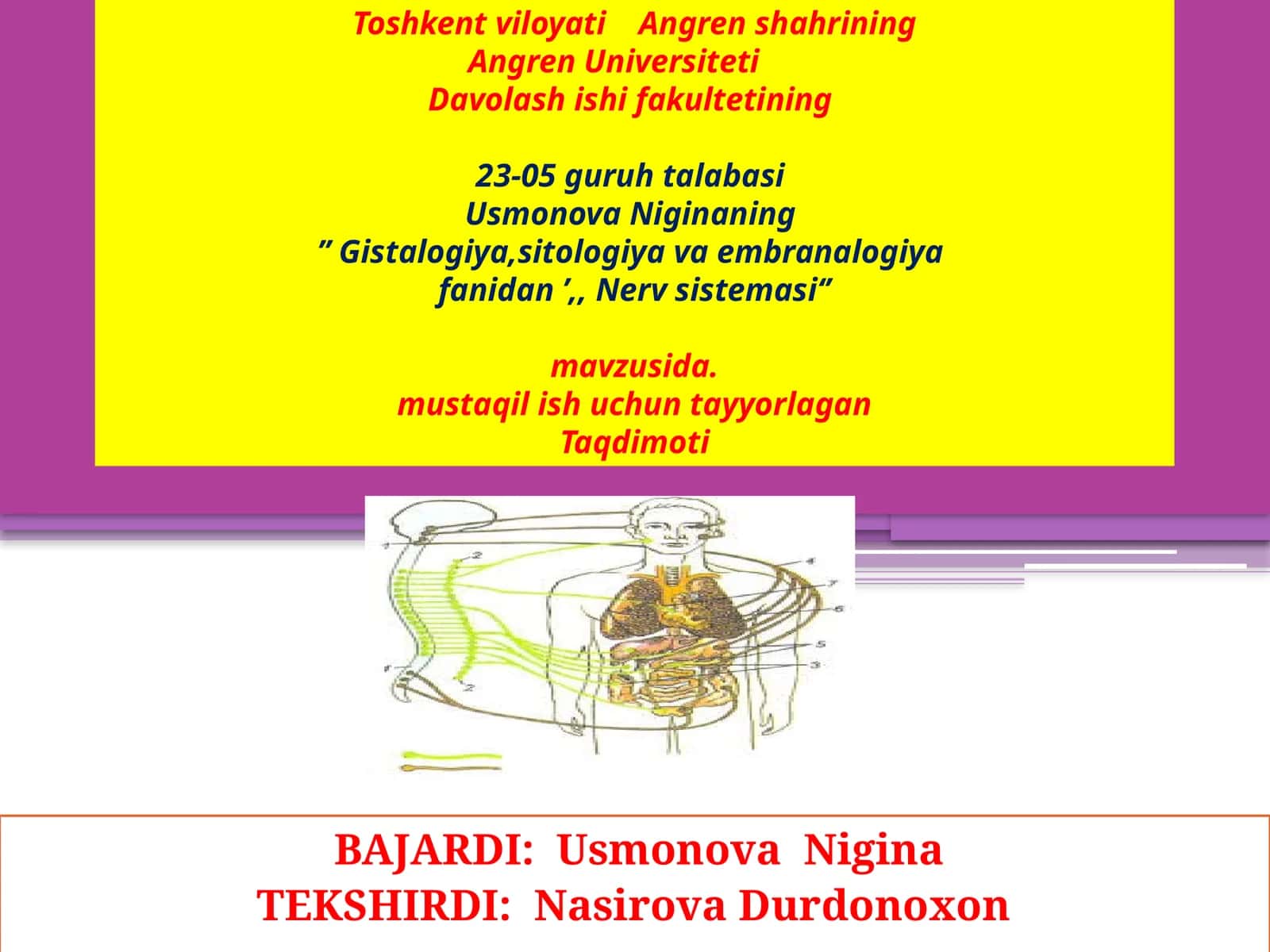 Nervsistemasi 1