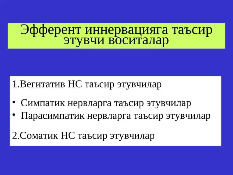 Эфферент иннервацияга таъсирэтувчи воситалар 1