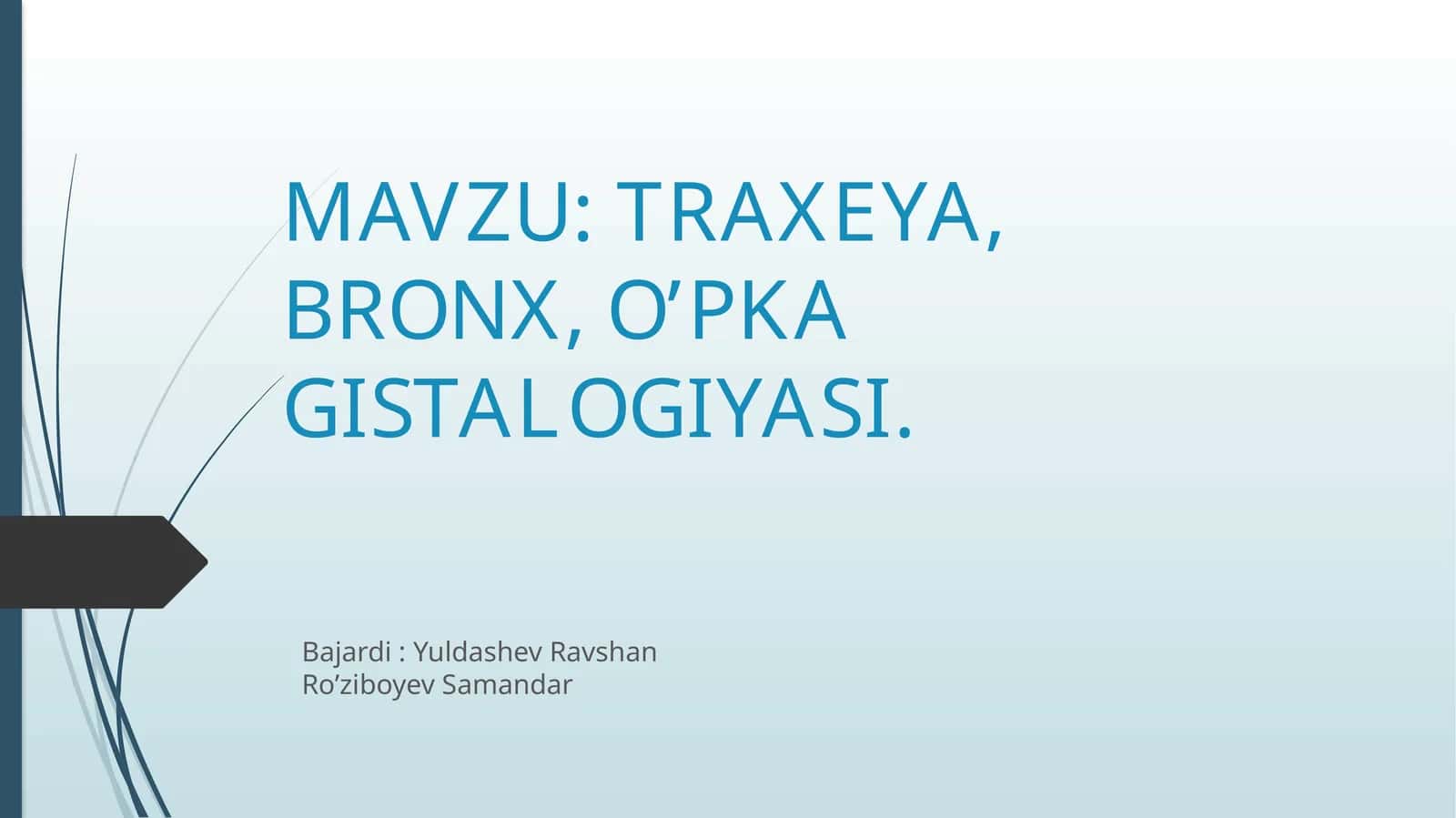TRAXEYA, BRONX, O’PKA GISTALOGIYASI+ANATOMIYASI 1