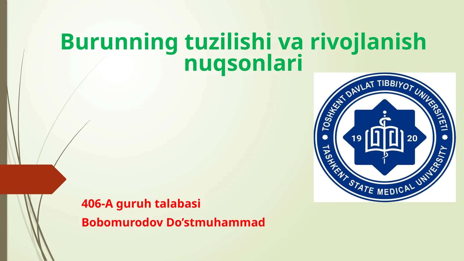 Burunningtuzilishivarivojlanishnuqsonlari 1