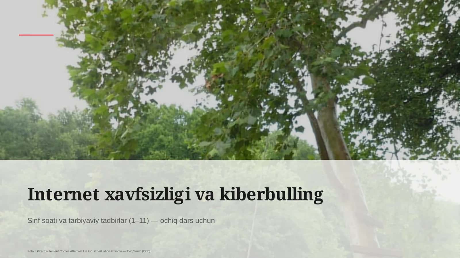 Internet xavfsizligi va kiberbulling 1