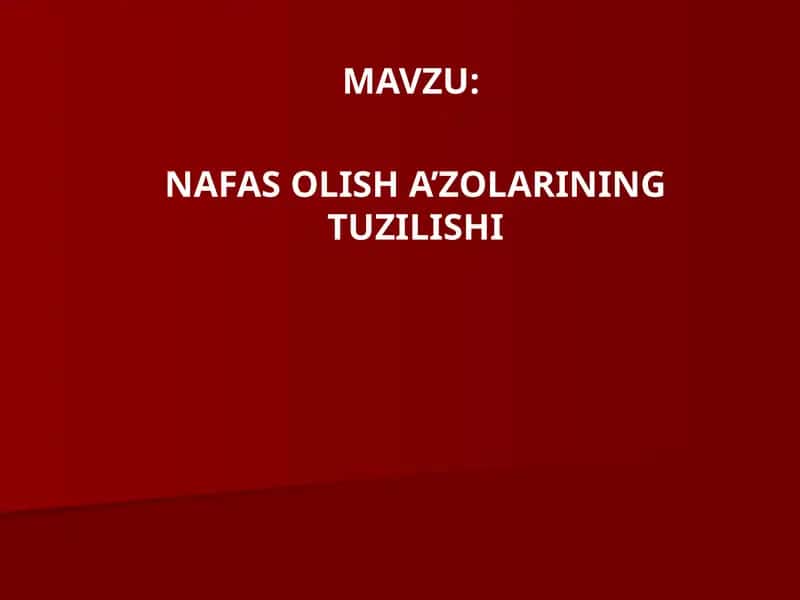 NAFASOLISHA’ZOLARINING TUZILISHI 1