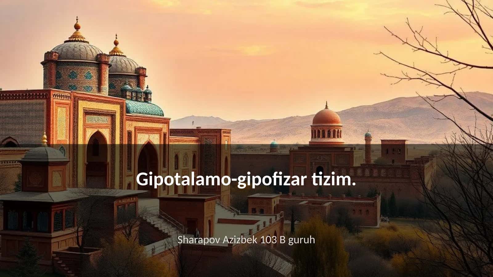 Gipotalamo-gipofizar tizim 1