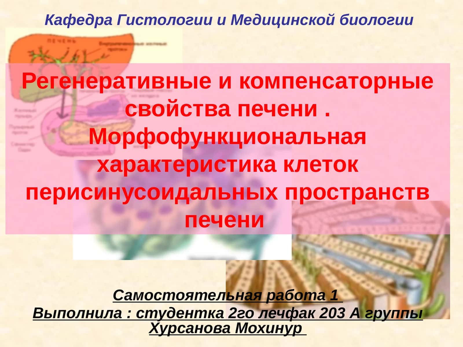 Регенеративные и компенсаторные свойства печени 1