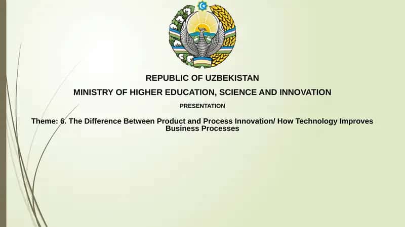 Product vs. Process Innovation: Defining the Difference 1