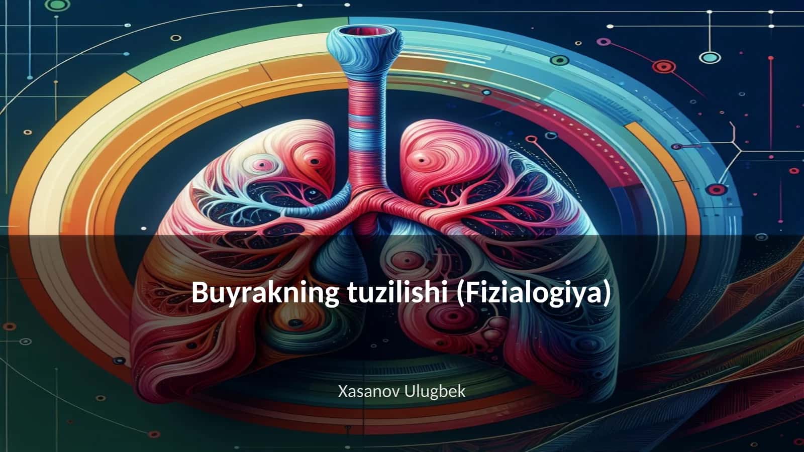 Buyrakning tuzilishi (Fizialogiya) 1