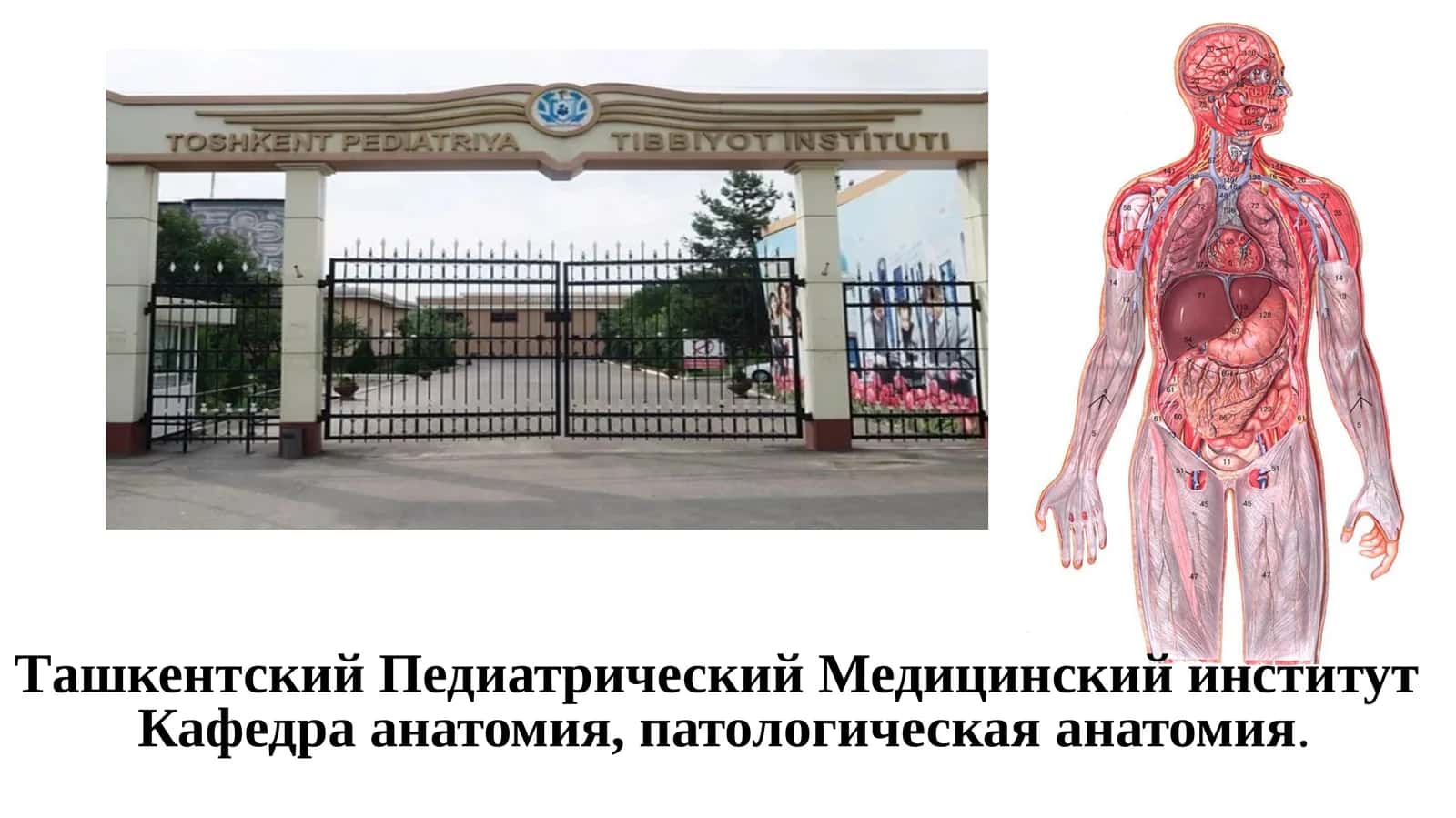 Программа олимпиады 2022 1