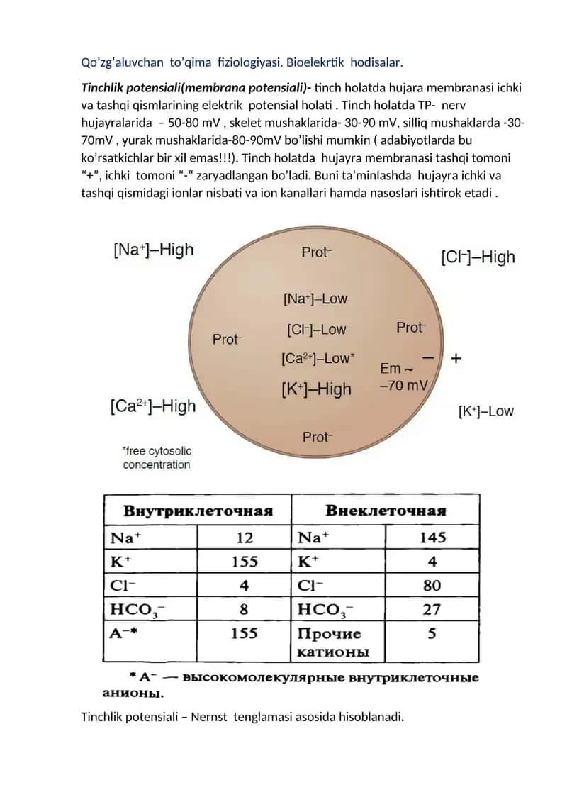 Qo'zg'aluvchan to'qima fiziologiyasi 1