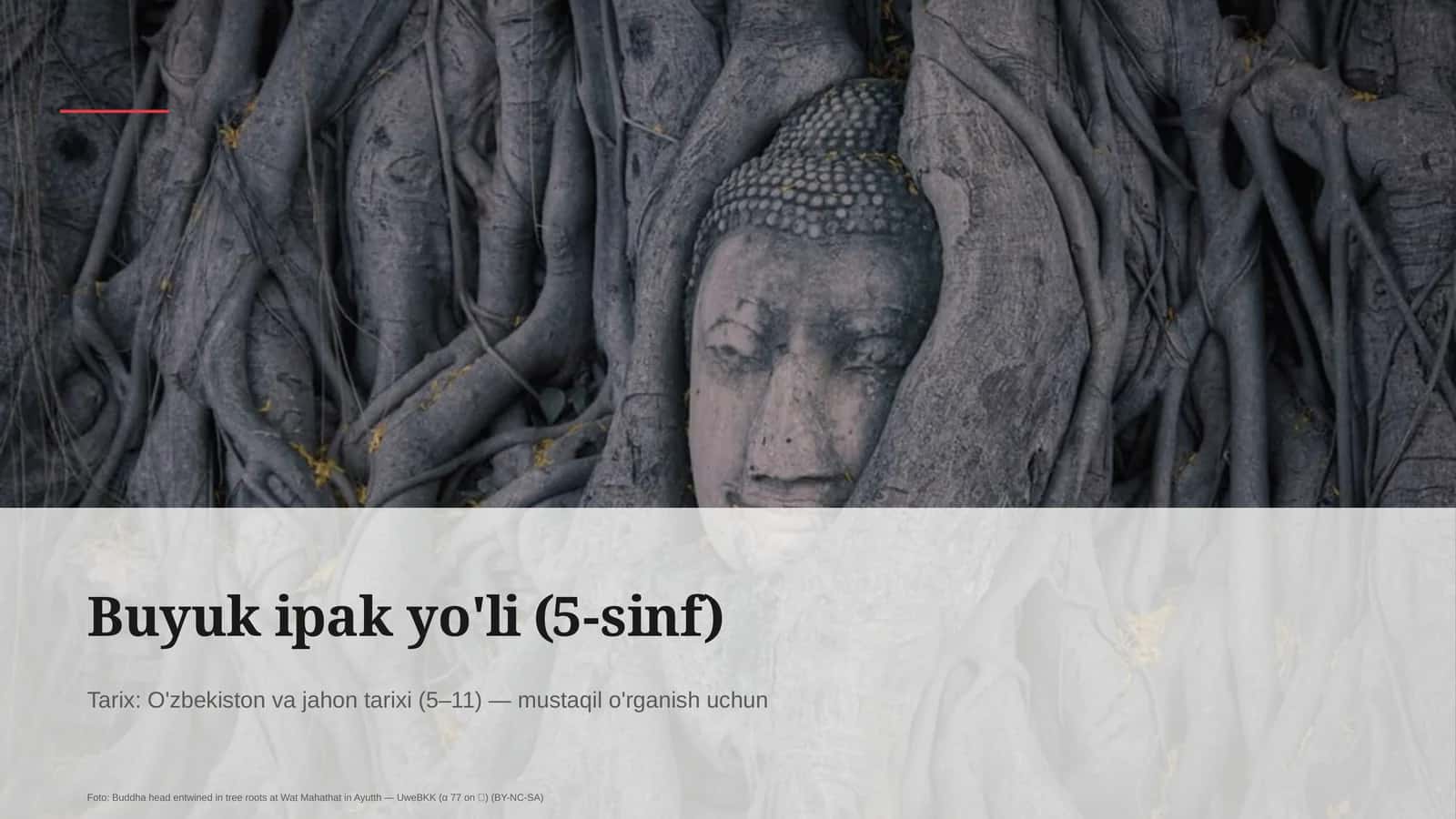 Buyuk ipak yo'li (5-sinf) 1