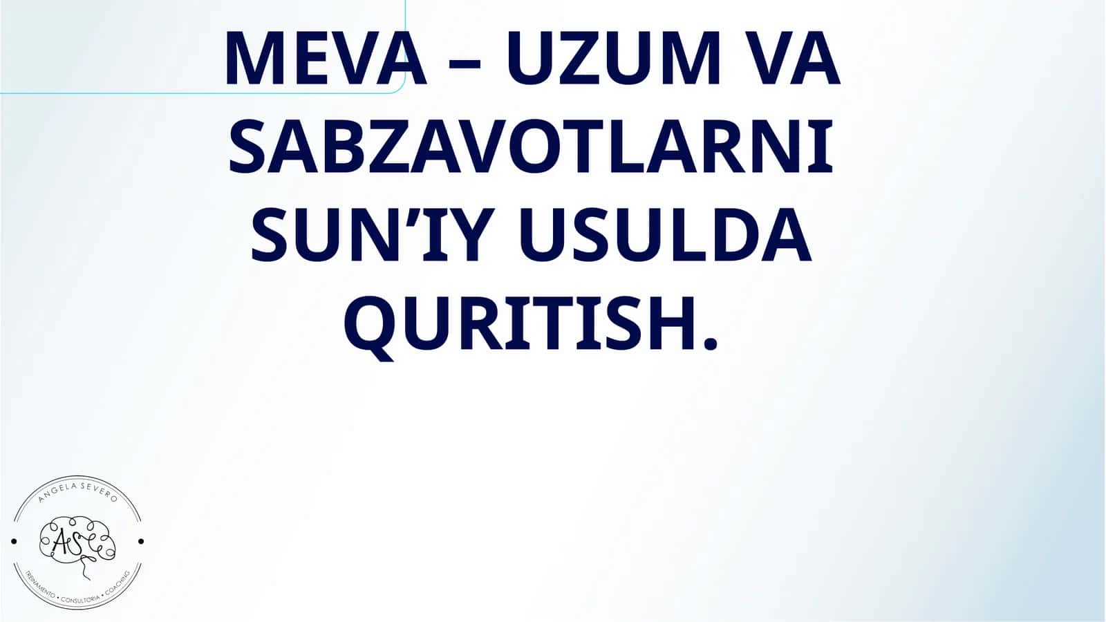 MEVA – UZUM VA SABZAVOTLARNI SUN’IY USULDA QURITISH 1