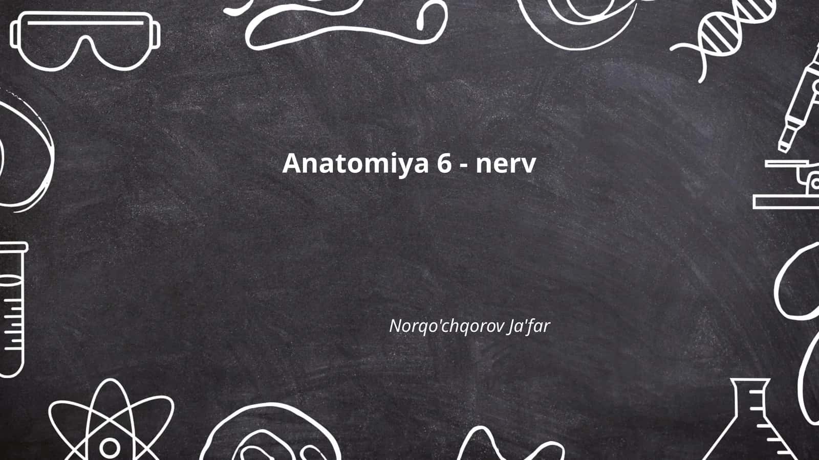 Anatomiya 6 - nerv 1