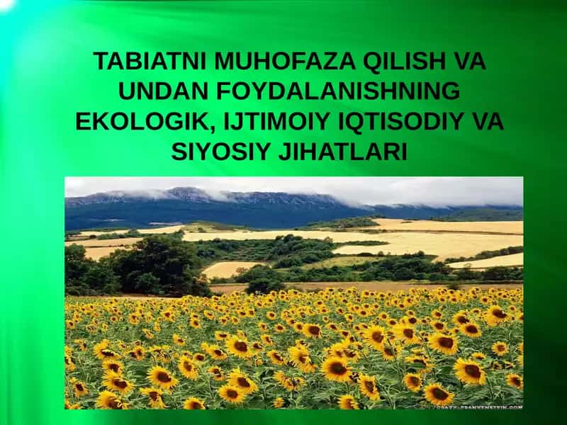 TABIATNI MUHOFAZA QILISH VA UNDAN FOYDALANISHNING EKOLOGIK, IJTIMOIY IQTISODIY VA SIYOSIY JIHATLARI 1