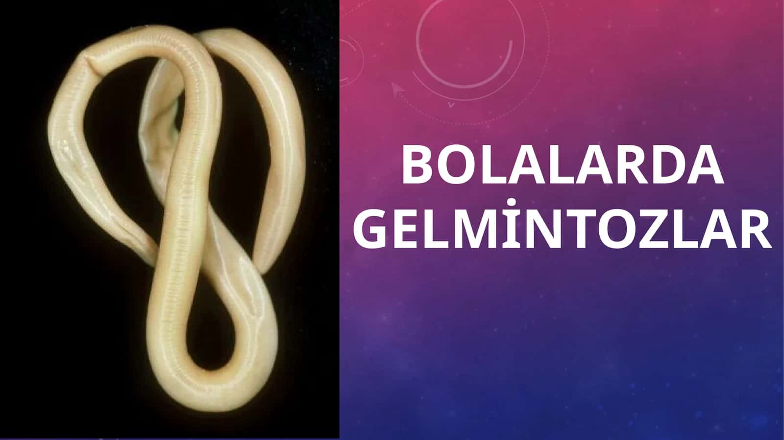 Bolalarda gelmintozlar 1